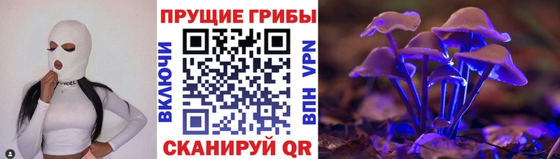 Псилоцибиновые грибы GOLDEN TEACHER  Комсомольск 