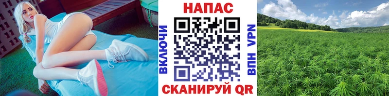 Шишки марихуана Amnesia Комсомольск